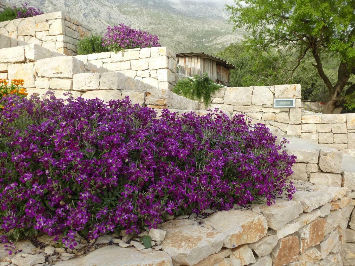Kuca Za Odmor Viola Villa Živogošće Exterior foto